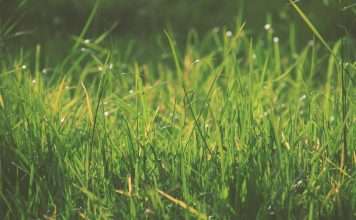 Tokyo-based climate finance firm Creattura secures $2.4m in Series A round Tokyo-based Creattura, a climate finance company focused on carbon project development, has raised $2.4m in a Series A funding round.