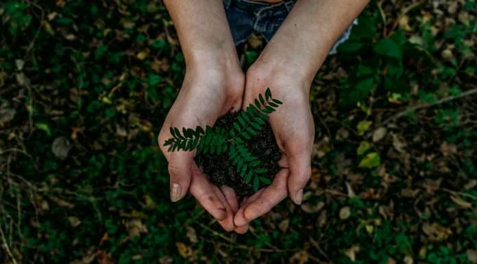 The Global Principles for Sustainable Securities Lending Community Interest Company (Global PSSL CIC) has announced a strategic partnership with the Confide Platform to revolutionise internal accountability and governance within sustainable finance.