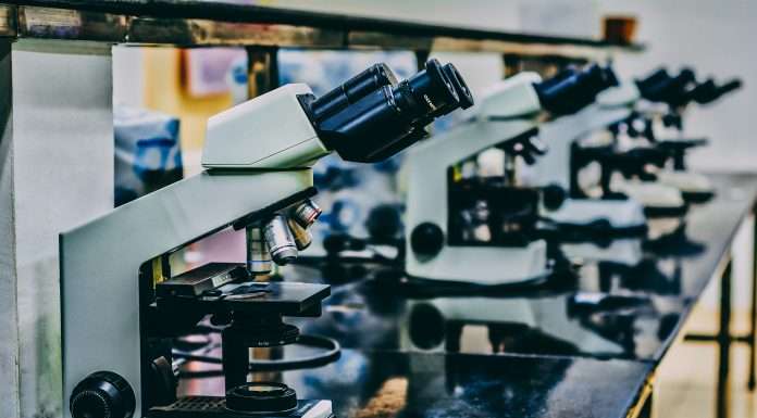Support groundbreaking UK research with every swipe: Science Card's new nitiative