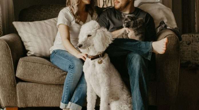 Propel rebrands app, receives $3.5m to modernise safety net technology Propel rebrands app, receives $3.5m to modernise safety net technology