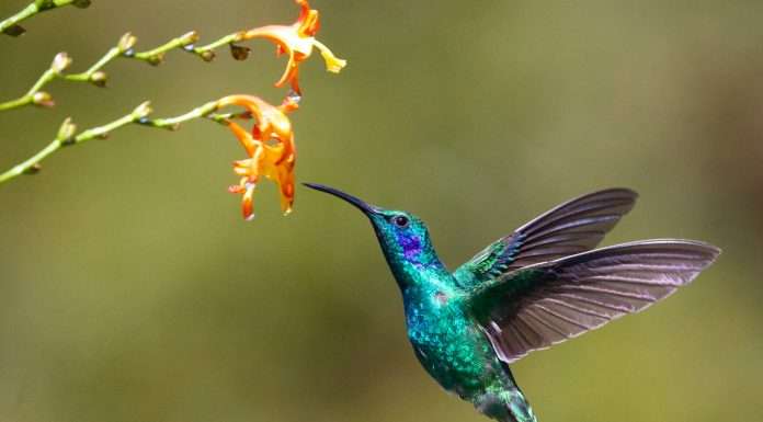 FinTech startup Colibid raises €400,000 to expand mortgage solutions