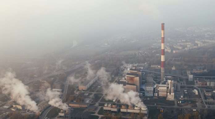 The rising value of SDG-linked carbon credits in market pricing