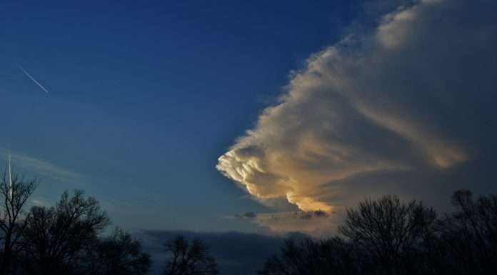 Cytora, a digital risk processing platform, has entered into a partnership with Mitiga Solutions, a provider of climate risk intelligence, to help insurers better assess and manage climate-related risks.