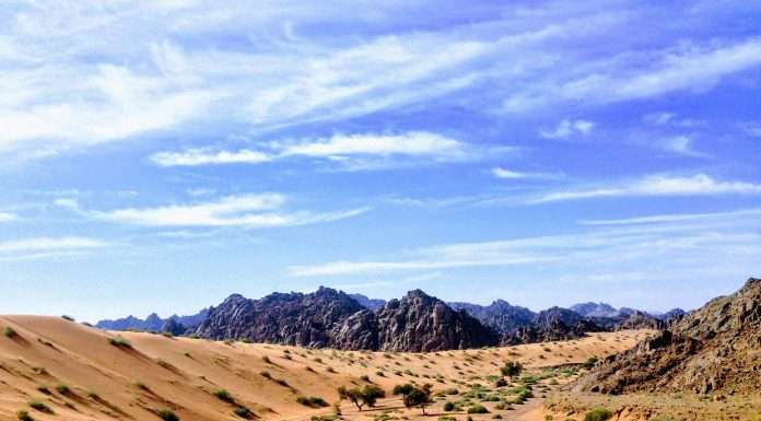 Hakbah partners with Tawuniya to revolutionise the savings experience for Saudi citizens Hakbah, a Saudi-based FinTech platform focusing on digital savings, has announced a new partnership with Tawuniya to revolutionise the savings experience for Saudi citizens.