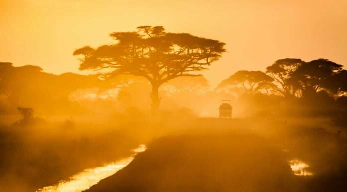 Blink Parametric partners with MAWDY to expand real-time travel assistance across Sub-Saharan Africa Irish InsurTech Blink Parametric and MAWDY, a global insurance, reinsurance and services company, have teamed up to expand their real-time travel assistance service across Sub-Saharan Africa.