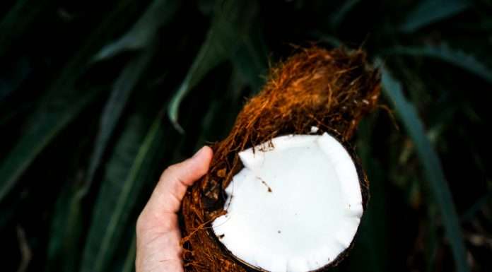 Coconut Software has announced a partnership with Glia to enhance the efficiency and effectiveness of customer interactions across various channels within the financial sector.