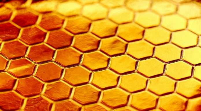 Honeycomb Insurance, a leading managing general agent (MGA) specialising in landlord and condo association insurance, has broadened its reach into Washington and Maryland, meaning the firm now insures over $35bn in assets.