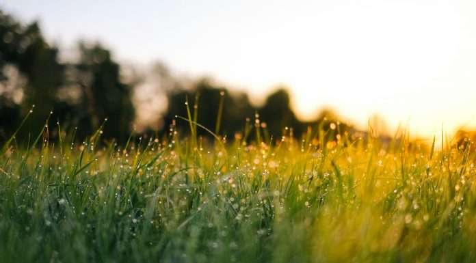 The International Organisation for Standardisation (ISO), a global leader in standard-setting, has introduced its ESG Implementation Principles to address the growing complexities of Environmental, Social, and Governance (ESG) practices.
