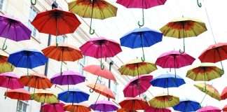 Specialist personal lines broker Ceta has announced a new partnership with software solutions provider Open GI to boost the number of products it can offer on its platform. 