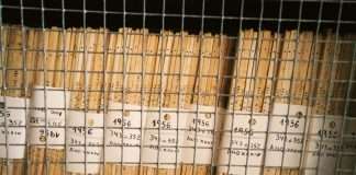 M-Files and Microsoft 365 revolutionise document management with AI-driven productivity M-Files and Microsoft 365 revolutionise document management with AI-driven productivity