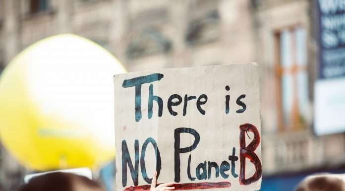 COP29
