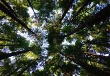 Clean energy FinTech CapeZero secures $2.6m to transform project financing