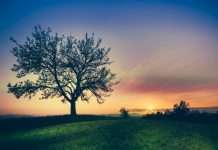 Was 2024 a strong year for ESG FinTech? Was 2024 a strong year for ESG FinTech?