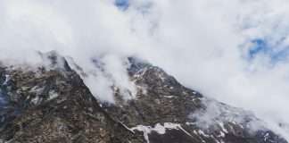 Everest Group names Jim Williamson as acting CEO amid leadership changes Everest Group, a global leader in property, casualty and specialty insurance and reinsurance, has announced Jim Williamson, formerly the executive vice president and group COO, as its acting CEO.