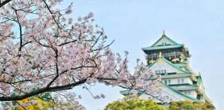 Prudential Financial and Dai-ichi Life partner for product distribution and asset management in Japan Prudential Financial and Dai-ichi Life have announced they are forming a strategic partnership to strengthen their product distribution and asset management capabilities.