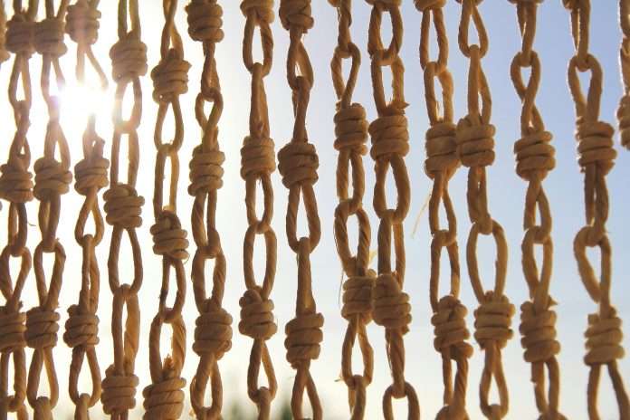 pexels-francesco-ungaro-96081