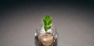 Dutch lender Colesco raises $839m to boost sustainable investments in Europe