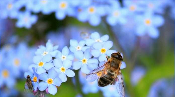PensionBee, a leader in the consumer retirement market, is known for simplifying pensions and enabling individuals to consolidate their retirement savings into one online platform.