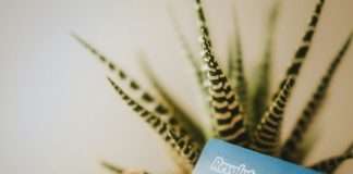 Lyca Mobile, the UK’s leading mobile virtual network operator (MVNO), has partnered with Revolut Pay, marking the neobank’s first MVNO collaboration in the UK.