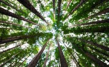 What the EU sustainability Omnibus means for CSRD and ESG reporting in 2025