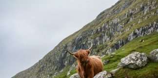 FinTech Scotland awards five startups £50,000 each to drive consumer-focused innovation FinTech Scotland awards five startups £50,000 each to drive consumer-focused innovation