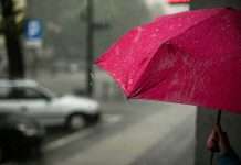 Gracie Point raises fresh capital to fuel expansion in life insurance premium finance