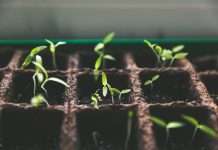 Vouch, a leading business insurance provider for high-growth companies, is expanding its ability to provide tailored insurance solutions for startups and flexible workspaces through a new acquisition.