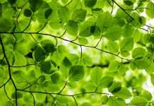 Tietoevry targets 100% renewable energy by 2026 in latest sustainability pledge Tietoevry targets 100% renewable energy by 2026 in latest sustainability pledge