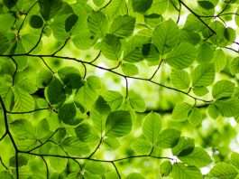 Tietoevry targets 100% renewable energy by 2026 in latest sustainability pledge