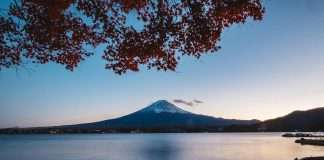 Sumitomo Mitsui exits Net Zero Banking Alliance amid global shifts