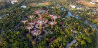 Why Singapore is a key green investment hub in Asia Why Singapore is a key green investment hub in Asia