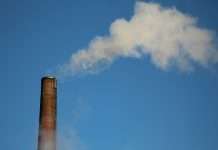 Fuel Ventures backs £3m round for net-zero enabler 51toCarbonZero Fuel Ventures backs £3m round for net-zero enabler 51toCarbonZero