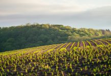 Agri-FinTech firm Growers Edge secures $25m to expand climate-smart farming solutions