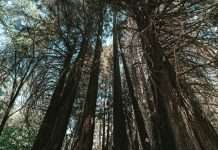 Franklin Templeton unveils ESG-screened core ETFs with low tracking error