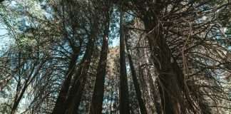 Franklin Templeton unveils ESG-screened core ETFs with low tracking error Franklin Templeton unveils ESG-screened core ETFs with low tracking error