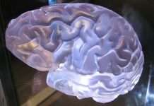 Identity protection platform AuthMind secures $19.3m seed round led by Cheyenne Ventures Identity protection platform AuthMind secures $19.3m seed round led by Cheyenne Ventures