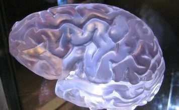 Identity protection platform AuthMind secures $19.3m seed round led by Cheyenne Ventures Identity protection platform AuthMind secures $19.3m seed round led by Cheyenne Ventures