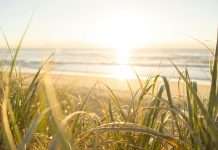 Cytora and Vāyuh partner to enhance climate risk insights for property insurers Cytora, a digital risk processing platform, has partnered with Vāyuh, an AI-powered weather forecasting and climate analytics company, to revolutionise property insurance underwriting by integrating advanced climate data with risk assessment tools.