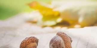 RYZE Claim Solutions, a national claims management provider, has acquired Acorn Claims, a Missouri-based firm known for its specialisation in daily and catastrophe claims services across the US.