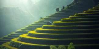 IFRS Foundation, TNFD strengthen commitment to nature-related financial disclosures TNFD