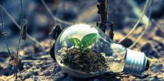 ISS unveils sustainability bond rating for enhanced green investment decisions ISS