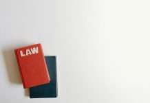 Why the VSME Standard is a smart move for SMEs amid ESG pressure VSME