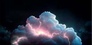 AI in futures trading: Powering precision forecasting and real-time risk control AI in futures trading: Powering precision forecasting and real-time risk control