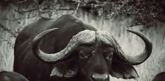 OX Security lands $60m Series B to advance AI-driven AppSec innovation OX Security lands $60m Series B to advance AI-driven AppSec innovation