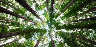 ESMA consults on draft standards to regulate ESG rating providers across Europe