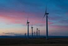 Carbon credit platform Riverse raises €5m to scale engineered climate solutions