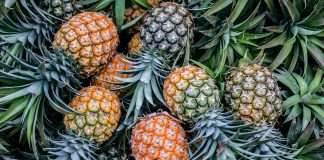 Canadian mortgage tech firm Pineapple Financial raises $1.5m in public offering Canadian mortgage tech firm Pineapple Financial raises $1.5m in public offering