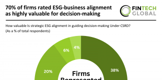 CSRD survey insights 2025