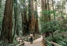 How to choose the right AI vendor for legal tech How to choose the right AI vendor for legal tech