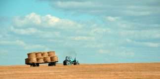 Nigerian agri-FinTech Winich Farms secures Pre-Series A funding Nigerian agri-FinTech Winich Farms secures Pre-Series A funding